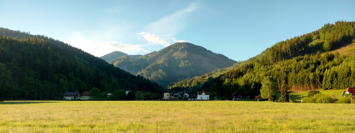 Die Bergwelt von Niklasdorf - links: Schafberg, Mitte: Mugel, rechts: Kuhberg - Foto Darmann